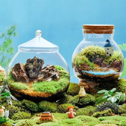 Modern moss ball glass vase desktop terrarium office decor