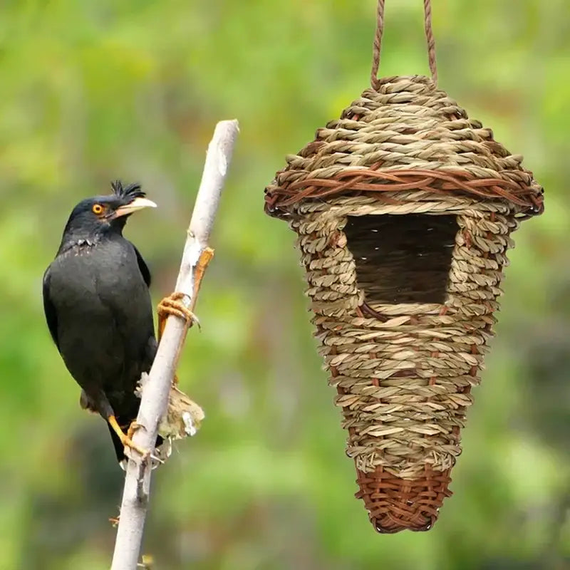 Handwoven natural grass parrot nest outdoor garden bird cage