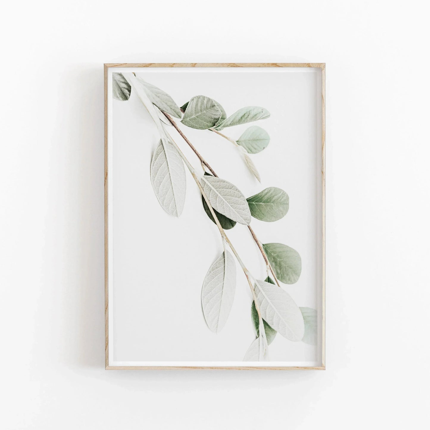 DecorBites™ Nordic Botanical Poster Canvas Art - Eucalyptus Palm