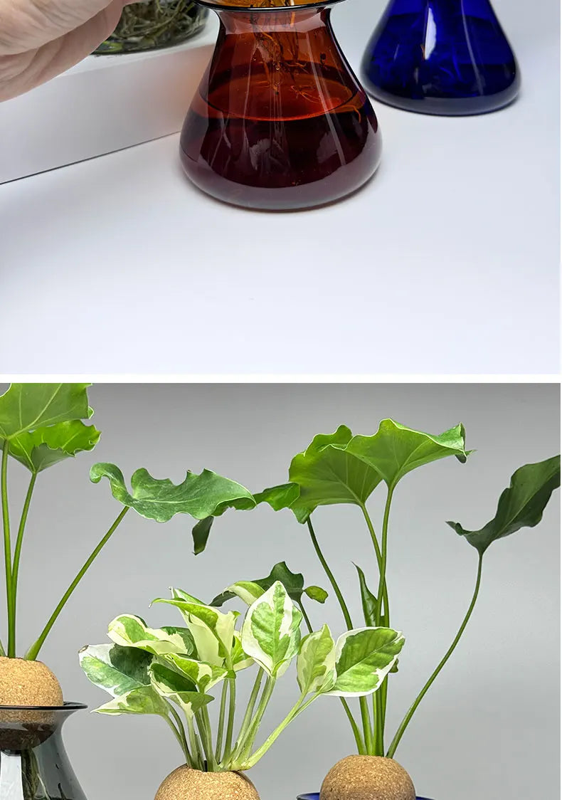 DecorBites™ Nordic Glass Vase for Home Decor - Small Transparent Vase