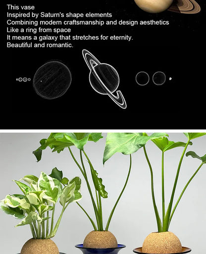 DecorBites™ Nordic Glass Vase for Home Decor - Small Transparent Vase