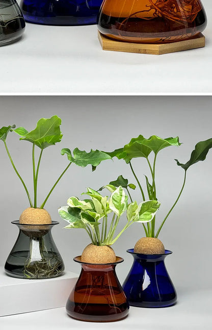 DecorBites™ Nordic Glass Vase for Home Decor - Small Transparent Vase