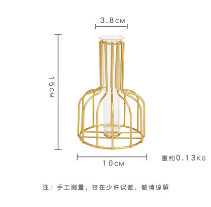 DecorBites™ Nordic Iron Golden Hydroponic Vase with Dried Flowers