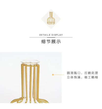 Nordic black & gold hydroponic vase living room wireframe decor