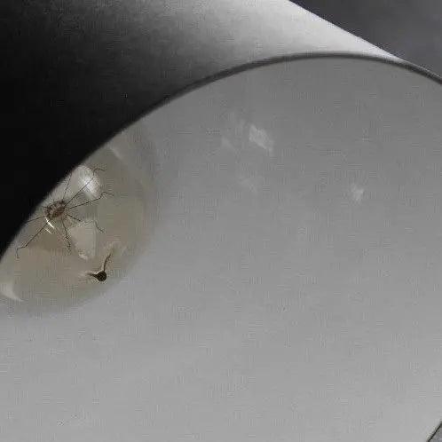 DecorBites™ Nordic Minimalist Wall Lamp