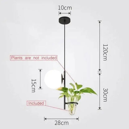 Modern black pendant planter light with glass globes dining room