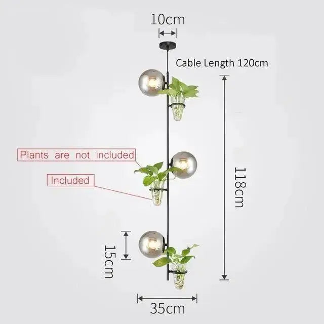 Modern black pendant planter light with glass globes dining room