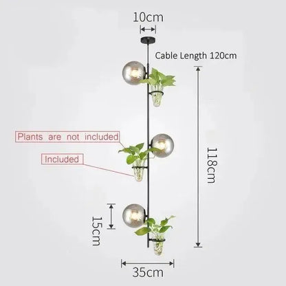Modern black pendant planter light with glass globes dining room