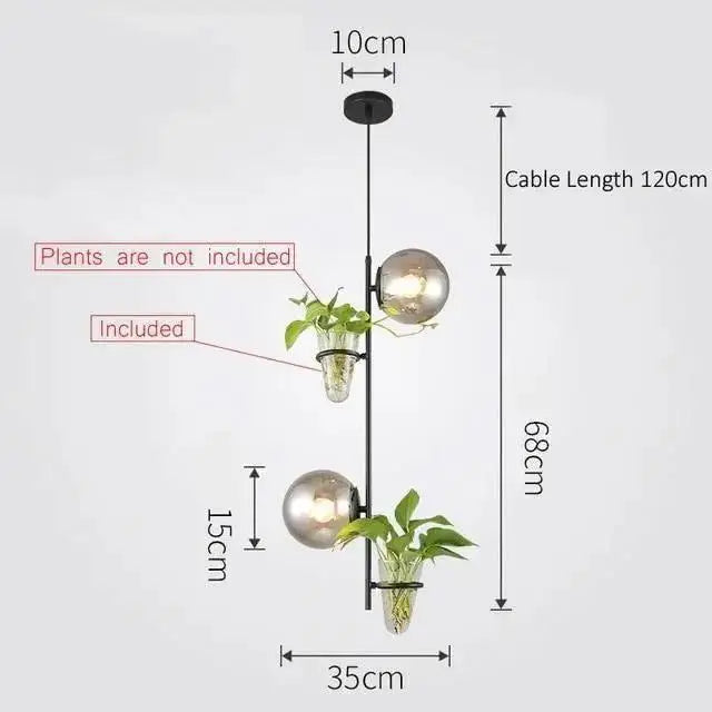 Modern black pendant planter light with glass globes dining room