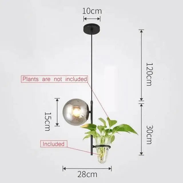 Modern black pendant planter light with glass globes dining room