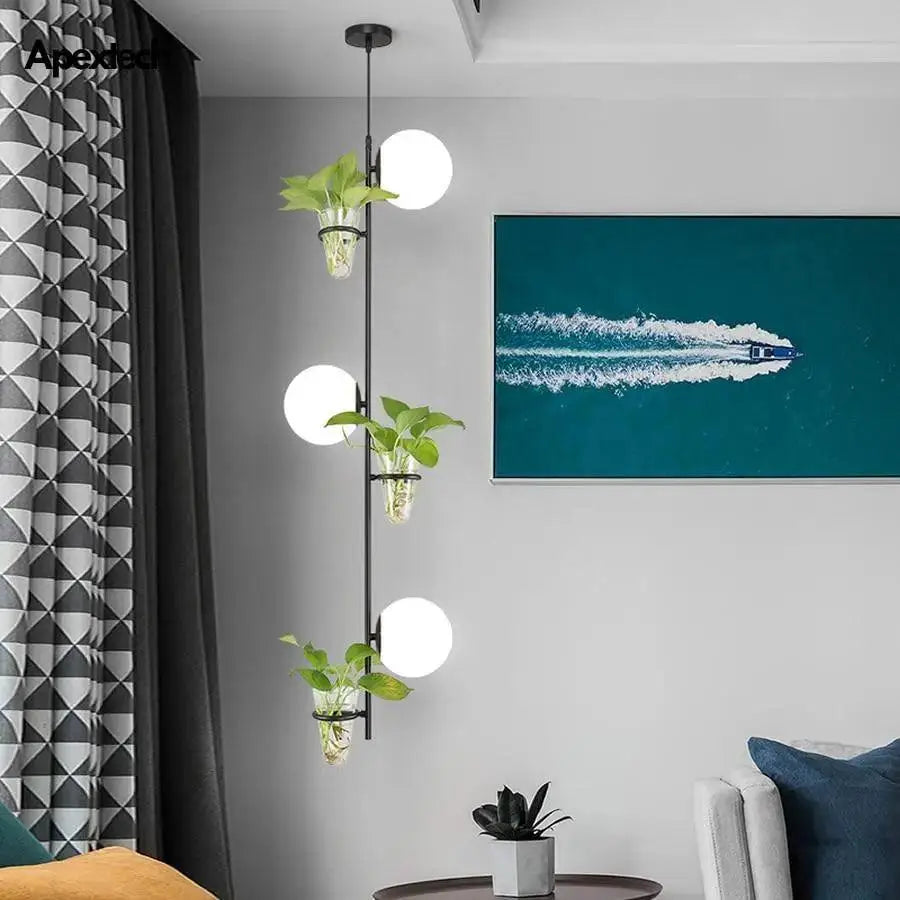 Modern black pendant planter light with glass globes dining room
