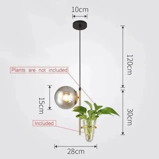 Modern black pendant planter light with glass globes dining room