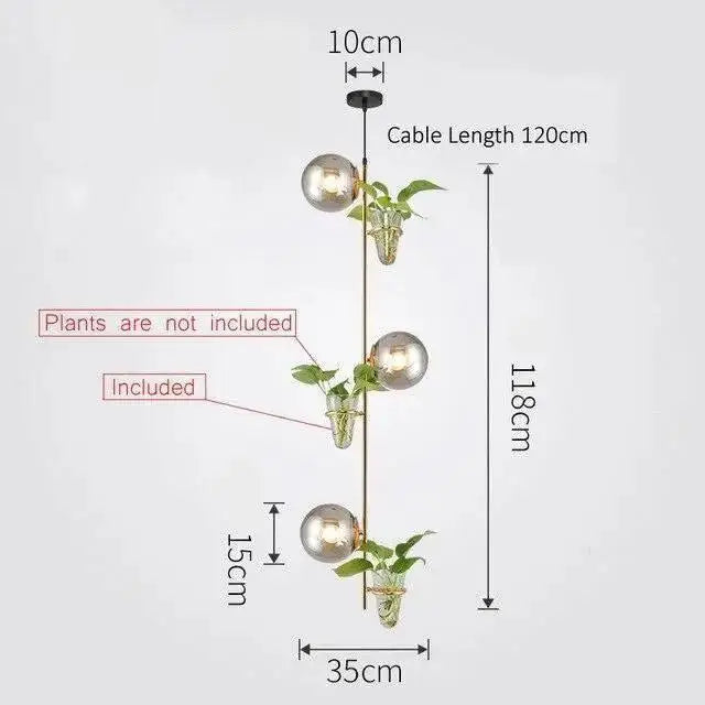Modern black pendant planter light with glass globes dining room