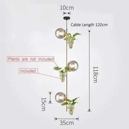 Modern black pendant planter light with glass globes dining room