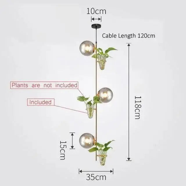 Modern black pendant planter light with glass globes dining room