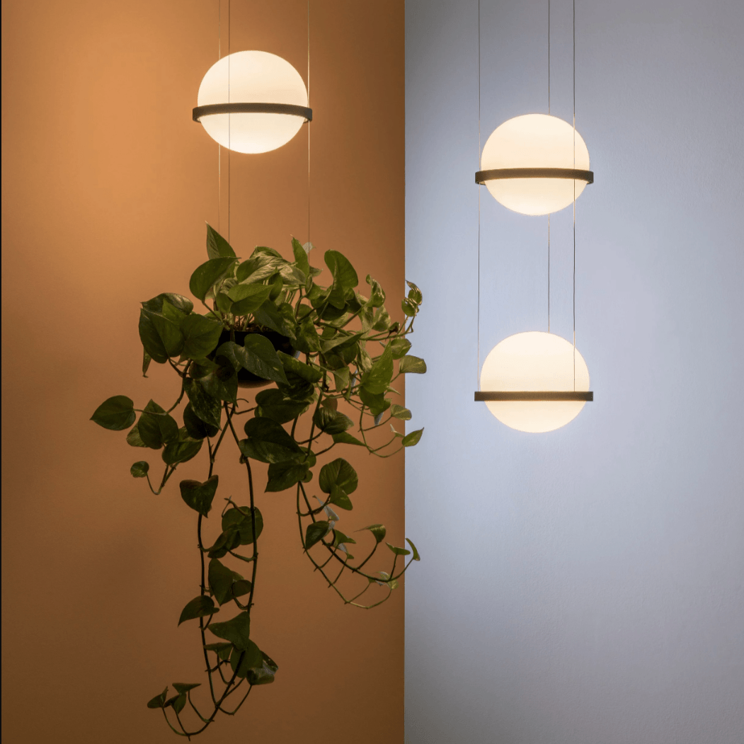 DecorBites™ Planter Light Pendant Chandelier