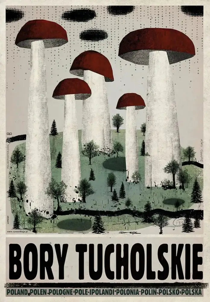 Vintage poland city mushroom forest canvas print living room art