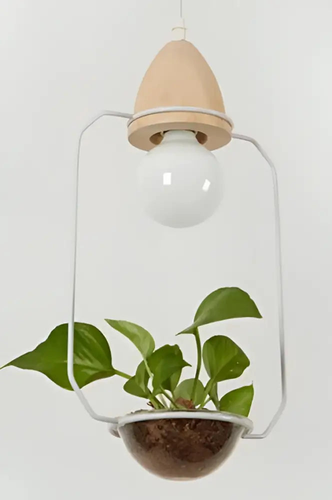 Modern wood and black pendant planter light dining room