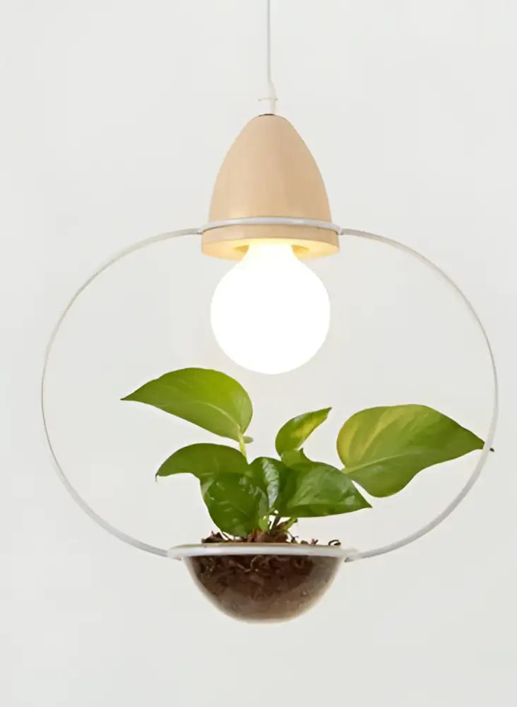 Modern wood and black pendant planter light dining room