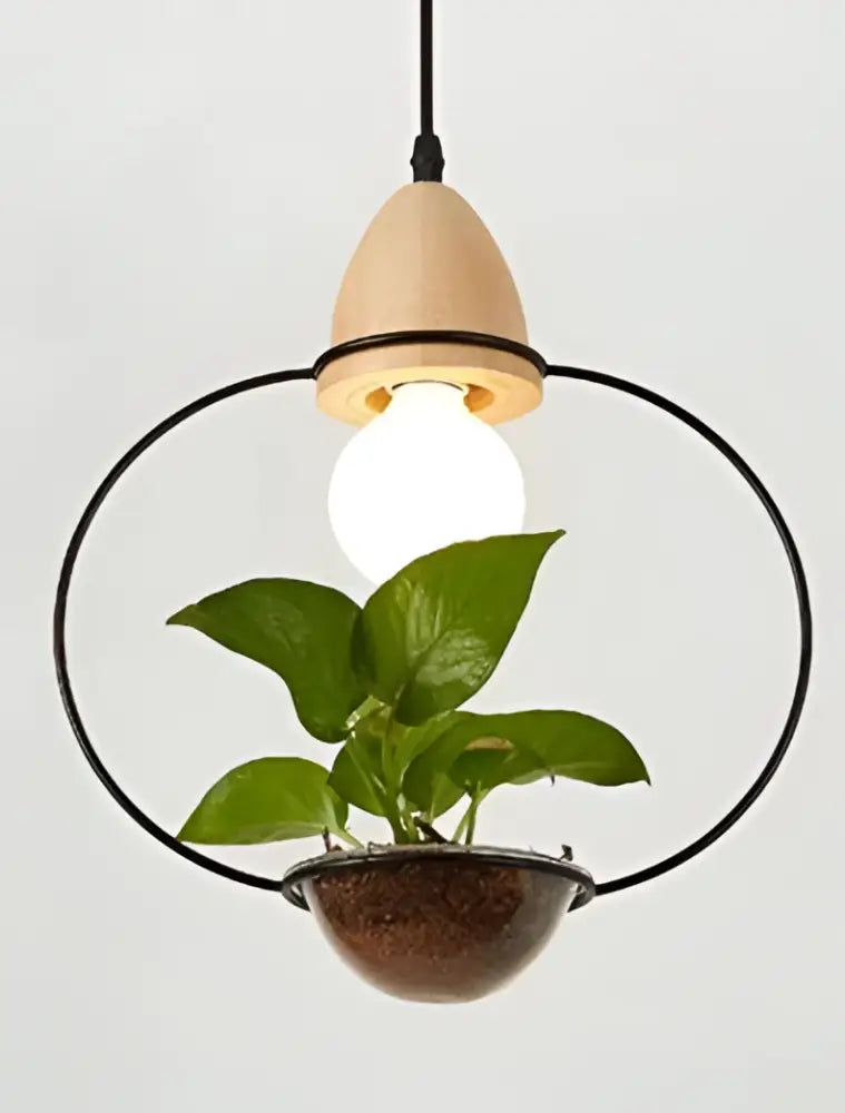 Modern wood and black pendant planter light dining room