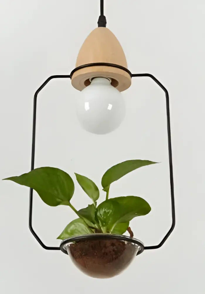 Modern wood and black pendant planter light dining room