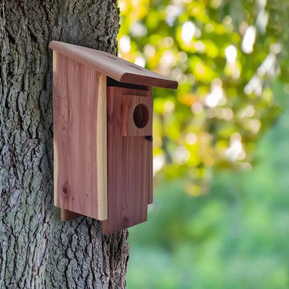 Red cedar bluebird house with mounting pole garden nesting box