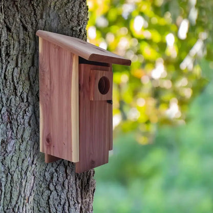 Red cedar bluebird house with mounting pole garden nesting box