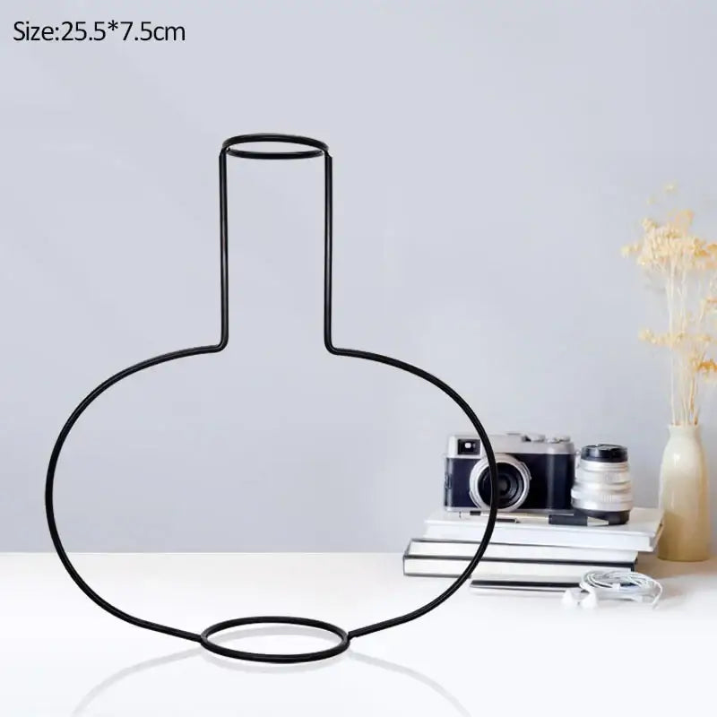 Retro iron black wireframe glass vase pot ornament for living room