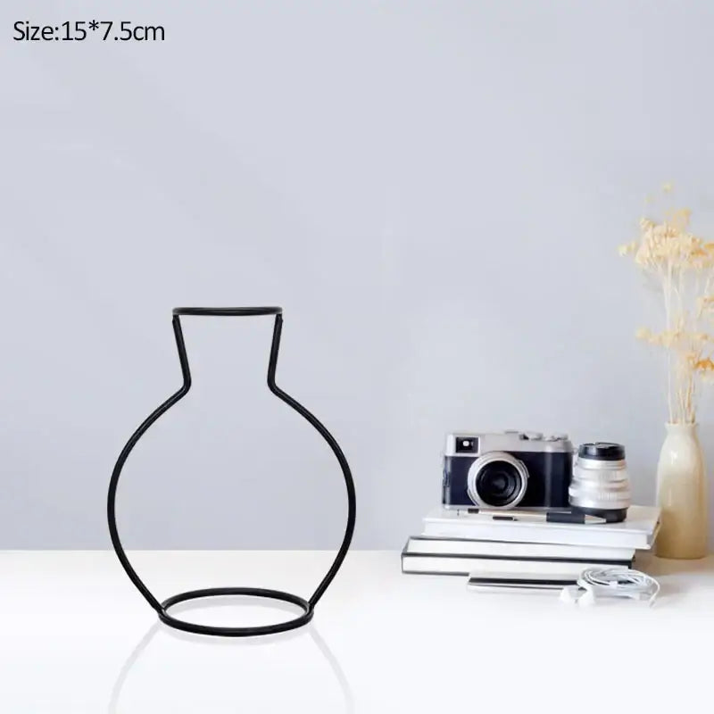 Retro iron black wireframe glass vase pot ornament for living room
