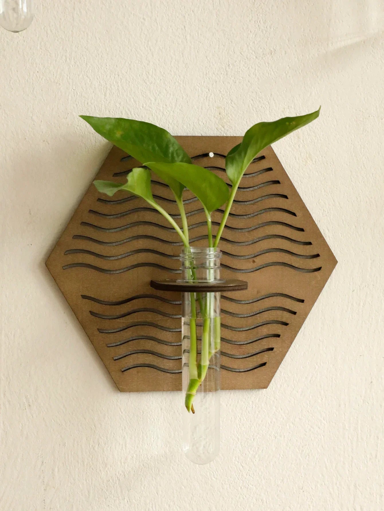 DecorBites™ Rustic Wood Wall Vase for Greenery