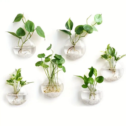 Modern spherical glass terrarium set – living room wall planters