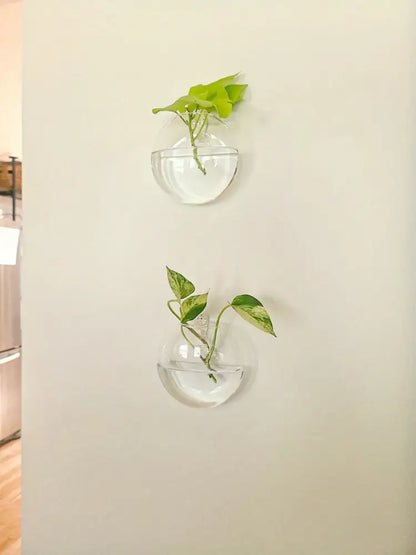 Modern spherical glass terrarium set – living room wall planters