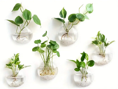Modern spherical glass terrarium set – living room wall planters