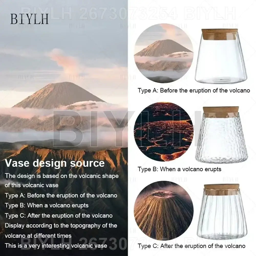 Small transparent glass vase with bamboo base for living room decor