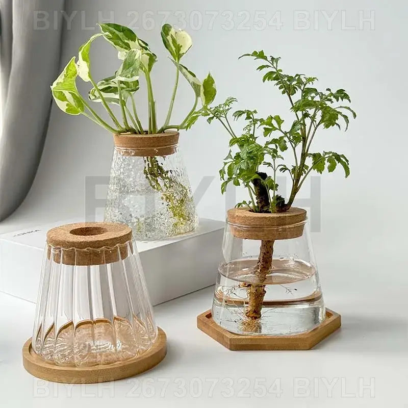 Small transparent glass vase with bamboo base for living room decor