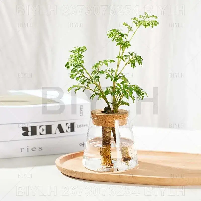 Small transparent glass vase with bamboo base for living room decor