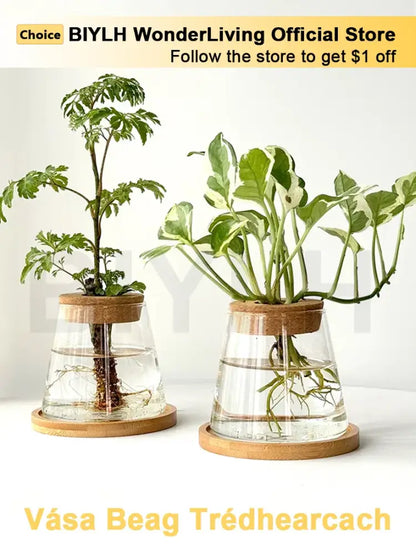 Small transparent glass vase with bamboo base for living room decor