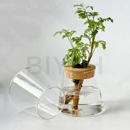 Small transparent glass vase with bamboo base for living room decor