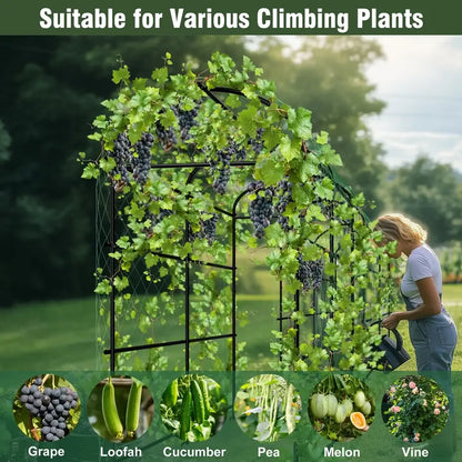 Tall black metal arched garden plant trellis garden decor