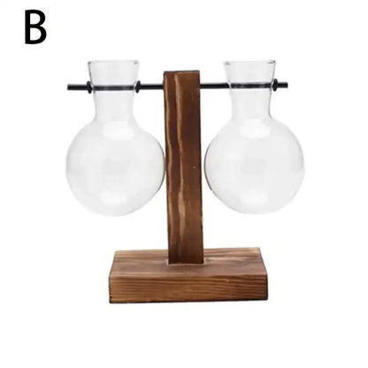 Clear glass avocado seed starter trio kitchen grow vases