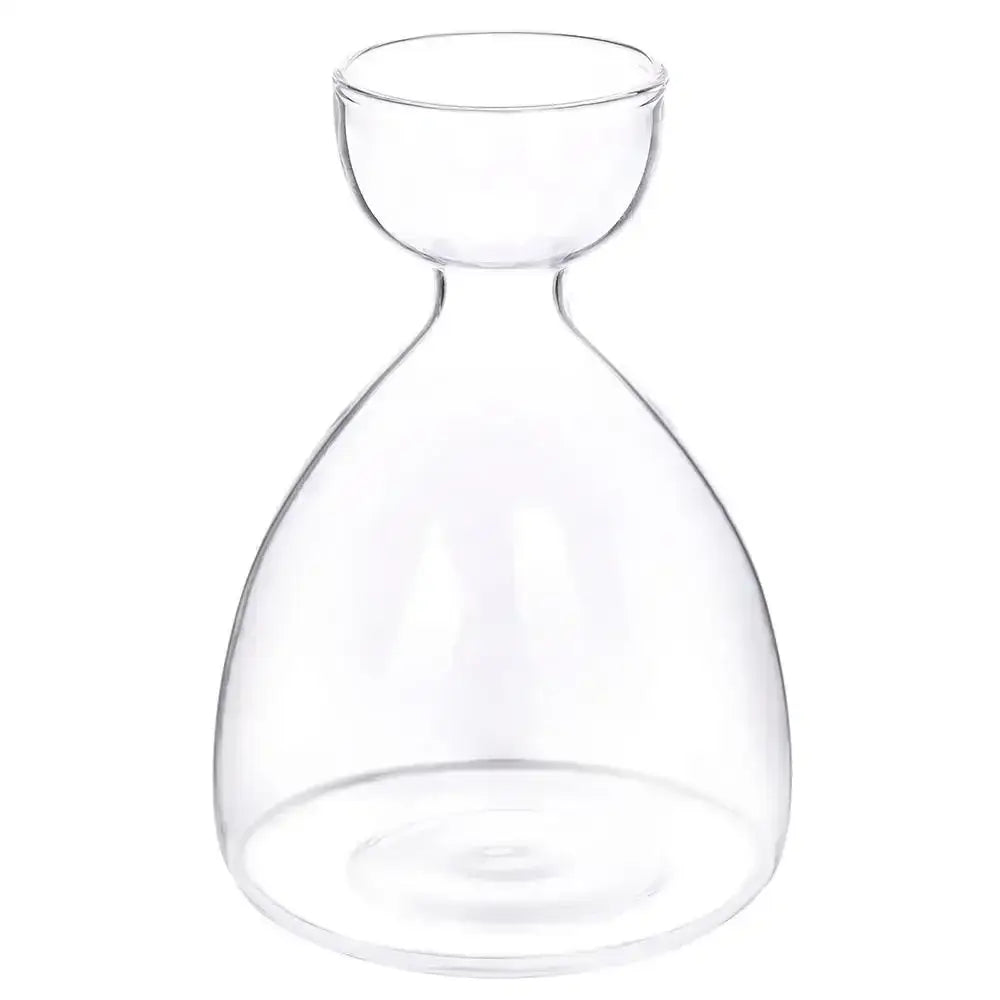 Clear glass avocado seed starter trio kitchen grow vases