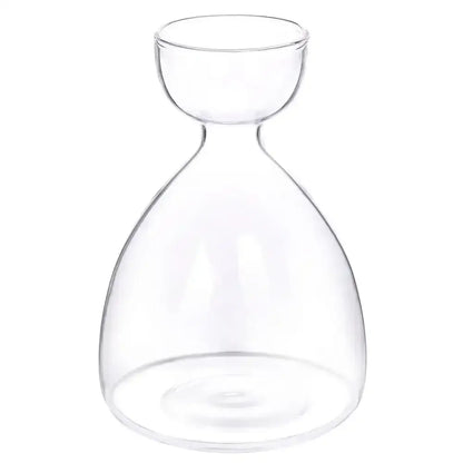 Clear glass avocado seed starter trio kitchen grow vases
