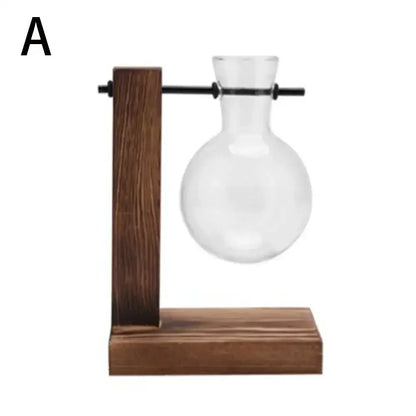 Clear glass avocado seed starter trio kitchen grow vases