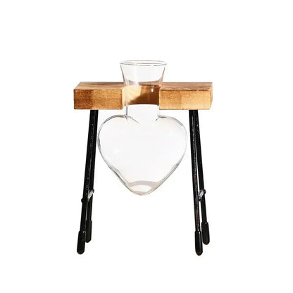 Clear glass avocado seed starter trio kitchen grow vases