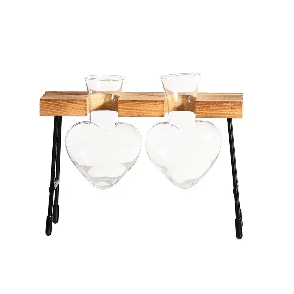 Clear glass avocado seed starter trio kitchen grow vases