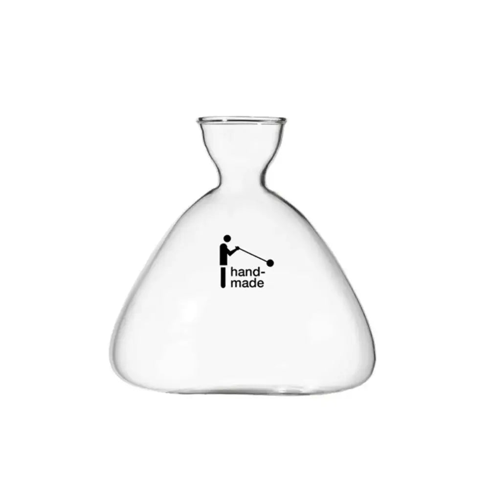Clear glass avocado seed starter trio kitchen grow vases