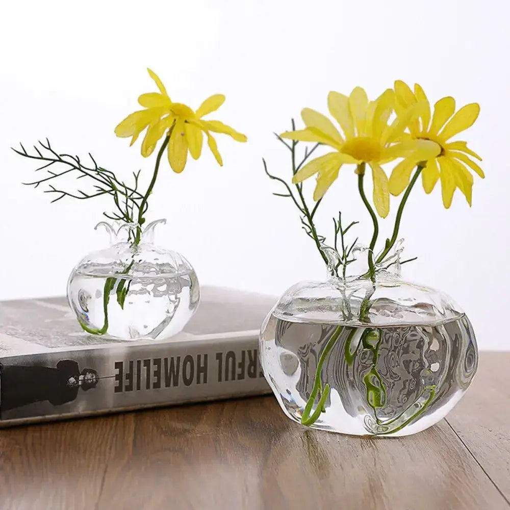 Clear glass avocado seed starter trio kitchen grow vases