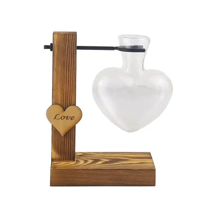 Clear glass avocado seed starter trio kitchen grow vases
