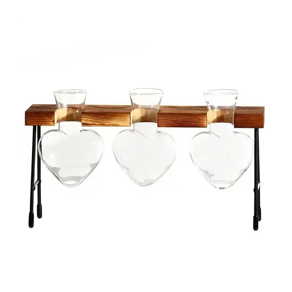 Clear glass avocado seed starter trio kitchen grow vases