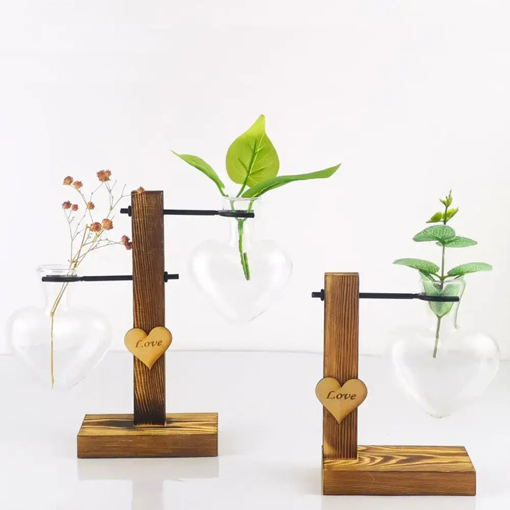 Clear glass avocado seed starter trio kitchen grow vases
